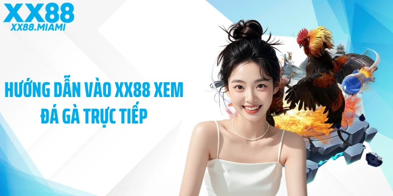 Hướng dẫn vào XX88 xem đá gà trực tiếp